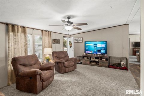 Tiny photo for 1006 S Land Street, Harrisburg, IL 62946 (MLS # EB458937)