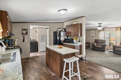 Tiny photo for 1006 S Land Street, Harrisburg, IL 62946 (MLS # EB458937)