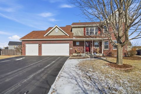 26003 S Old Farm Court Channahon IL 60410