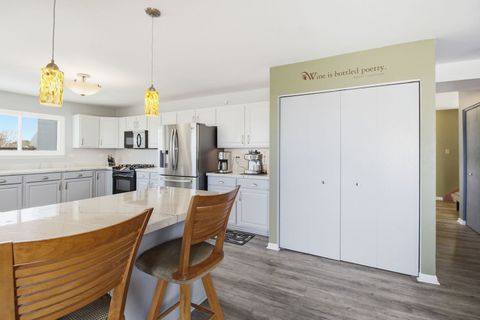 Tiny photo for 26003 S Old Farm Court, Channahon, IL 60410 (MLS # 12549380)