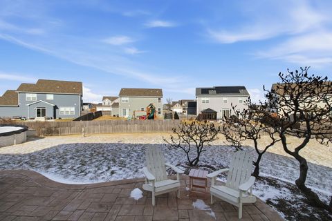 Tiny photo for 26003 S Old Farm Court, Channahon, IL 60410 (MLS # 12549380)