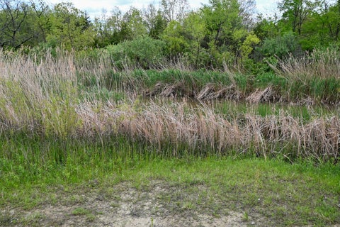 Tiny photo for 9021 E 2250 North Road, Danville, IL 61834 (MLS # 12605060)