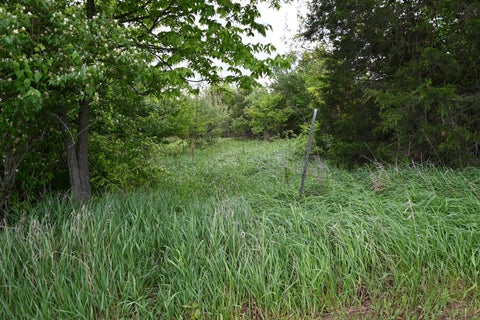 Tiny photo for 9021 E 2250 North Road, Danville, IL 61834 (MLS # 12605060)