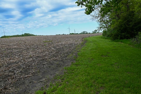 Tiny photo for 9021 E 2250 North Road, Danville, IL 61834 (MLS # 12605060)