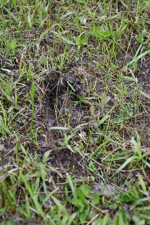 Tiny photo for 9021 E 2250 North Road, Danville, IL 61834 (MLS # 12605060)