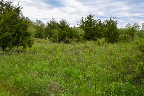 Tiny photo for 9021 E 2250 North Road, Danville, IL 61834 (MLS # 12605060)