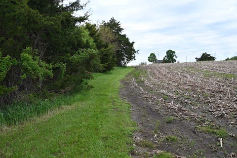 Tiny photo for 9021 E 2250 North Road, Danville, IL 61834 (MLS # 12605060)