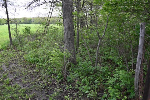 Tiny photo for 9021 E 2250 North Road, Danville, IL 61834 (MLS # 12605060)