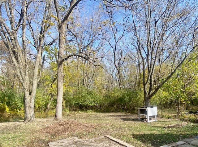 17/100 Woodhaven