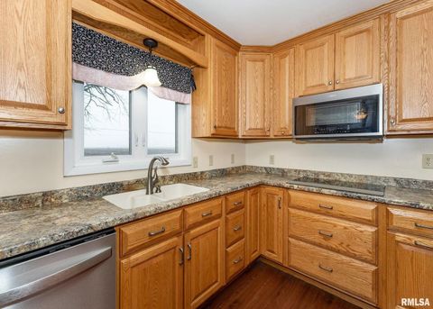 Tiny photo for 2678 170TH Avenue, Sherrard, IL 61281 (MLS # QC4264182)