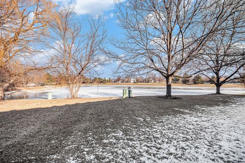 Tiny photo for 1870 N WENTWORTH Circle, Romeoville, IL 60446 (MLS # 12542063)