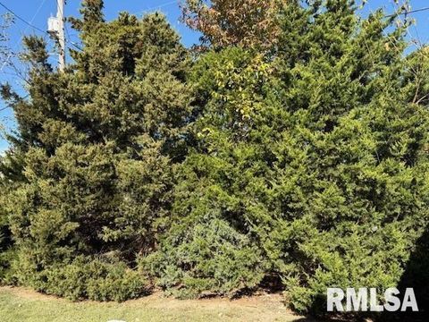 Tiny photo for 1106 AIRPORT Road, Mt Vernon, IL 62864 (MLS # EB460433)