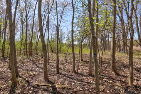 Tiny photo for 983 Mount Vernon Drive, Grayslake, IL 60030 (MLS # 12620395)