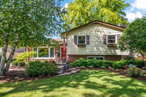 Tiny photo for 1136 N Walnut Avenue, Arlington Heights, IL 60004 (MLS # 12473969)