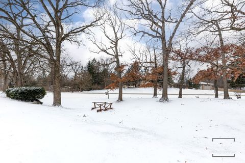 Tiny photo for 12523 S 86th Avenue, Palos Park, IL 60464 (MLS # 12538513)