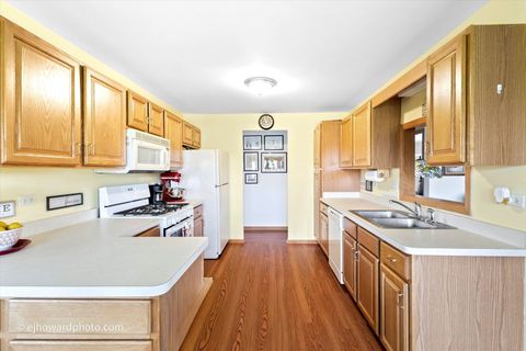 Tiny photo for 19423 Manchester Drive #19423, Mokena, IL 60448 (MLS # 12639993)