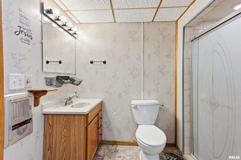 Tiny photo for 305 W SPRING Street, Eldridge, IA 52748 (MLS # QC4269761)