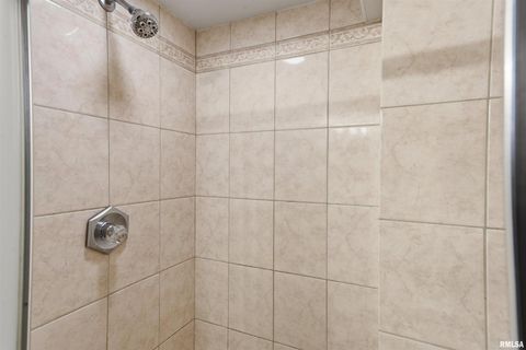 Tiny photo for 305 W SPRING Street, Eldridge, IA 52748 (MLS # QC4269761)