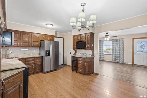 Tiny photo for 305 W SPRING Street, Eldridge, IA 52748 (MLS # QC4269761)