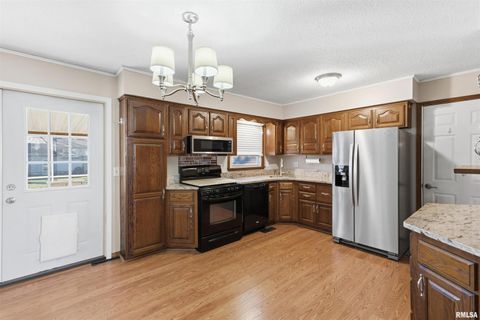 Tiny photo for 305 W SPRING Street, Eldridge, IA 52748 (MLS # QC4269761)