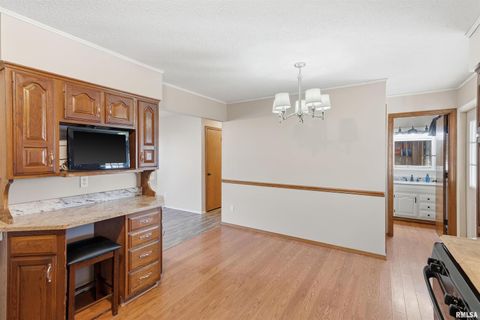 Tiny photo for 305 W SPRING Street, Eldridge, IA 52748 (MLS # QC4269761)