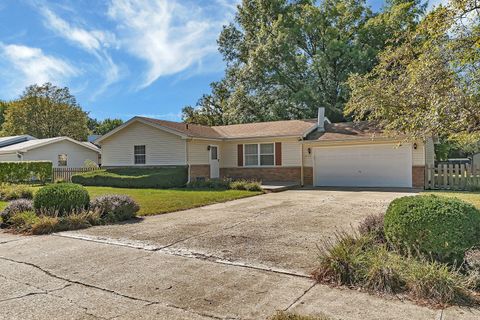 20718 S Sarver Drive Shorewood IL 60404