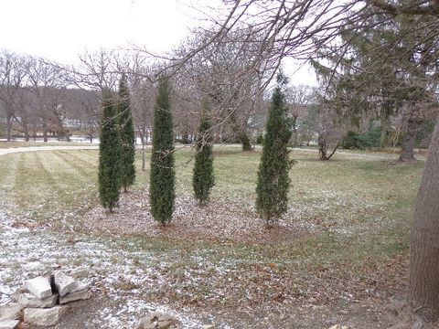 228 Crissey Avenue Geneva IL 60134