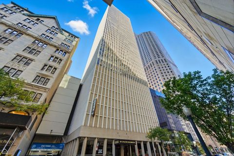 100 E Walton Place 10C Chicago IL 60611