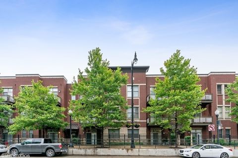 1509 S Halsted Street 211 Chicago IL 60607