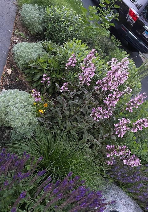 Tiny photo for 148 Wheeling Avenue, Wheeling, IL 60090 (MLS # 12505309)