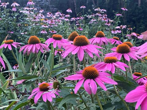 Tiny photo for 148 Wheeling Avenue, Wheeling, IL 60090 (MLS # 12505309)