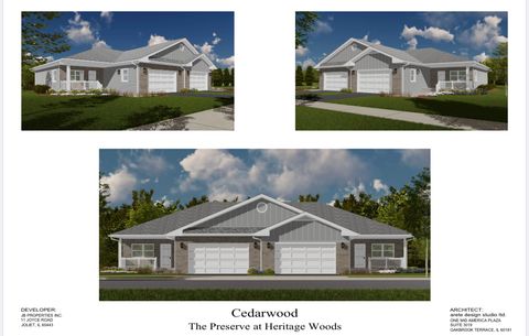 Tiny photo for 2031 Isabella Lane #1, Minooka, IL 60447 (MLS # 12463555)