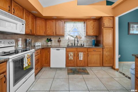 Tiny photo for 605 E 13TH Avenue Court, Coal Valley, IL 61240 (MLS # QC4269640)