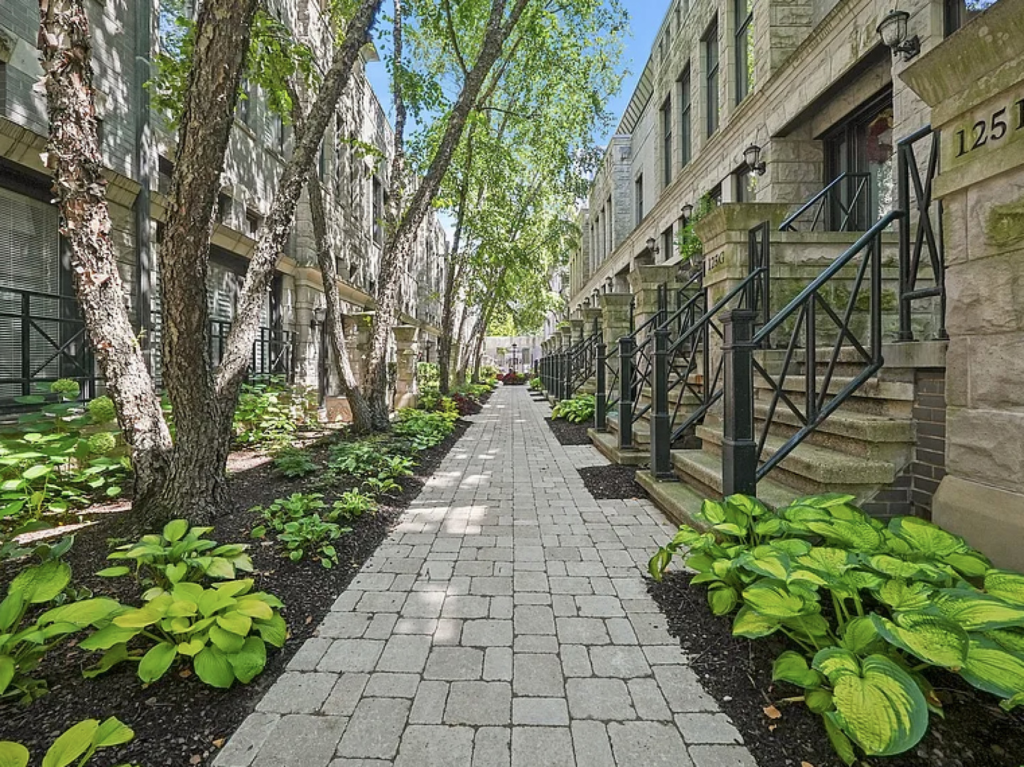 125 W Oak Street F