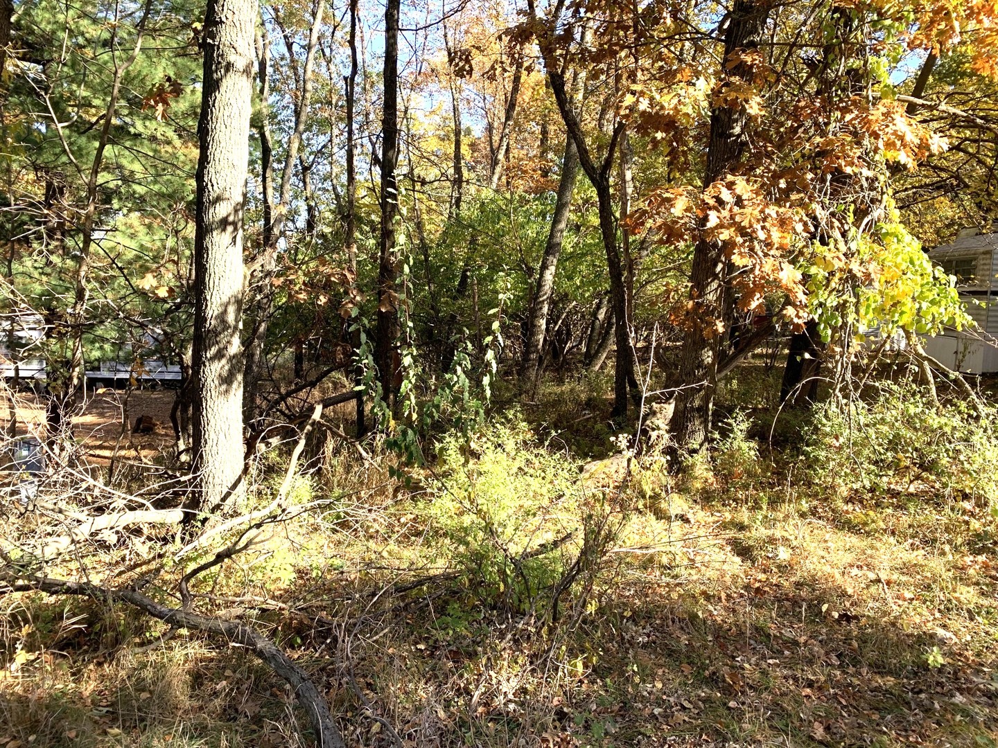 5/334 Woodhaven