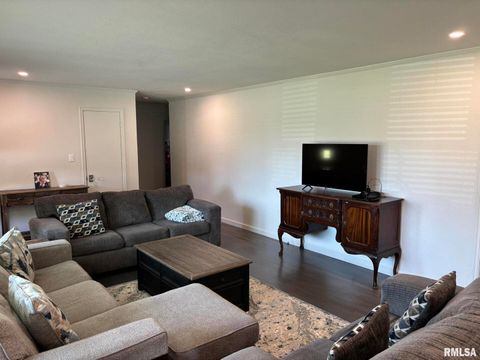 Tiny photo for 122 Paint Creek Lane, Carmi, IL 62821 (MLS # EB458466)