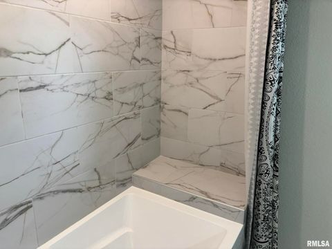 Tiny photo for 122 Paint Creek Lane, Carmi, IL 62821 (MLS # EB458466)