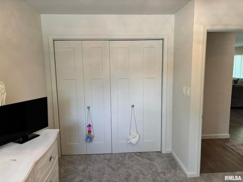 Tiny photo for 122 Paint Creek Lane, Carmi, IL 62821 (MLS # EB458466)