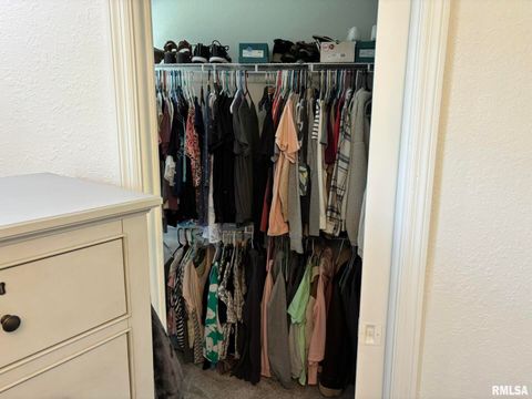 Tiny photo for 122 Paint Creek Lane, Carmi, IL 62821 (MLS # EB458466)