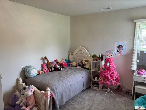 Tiny photo for 122 Paint Creek Lane, Carmi, IL 62821 (MLS # EB458466)