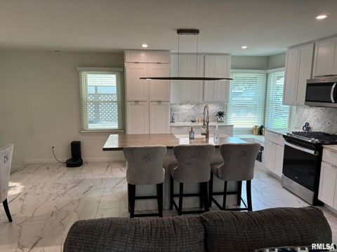 Tiny photo for 122 Paint Creek Lane, Carmi, IL 62821 (MLS # EB458466)