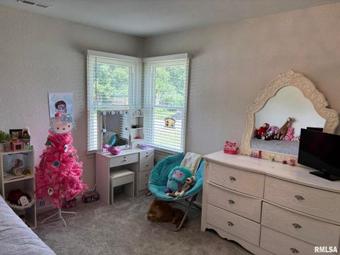 Tiny photo for 122 Paint Creek Lane, Carmi, IL 62821 (MLS # EB458466)