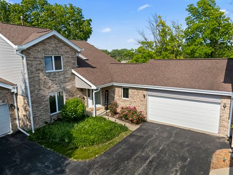 11234 Lakefield Drive Orland Park IL 60467