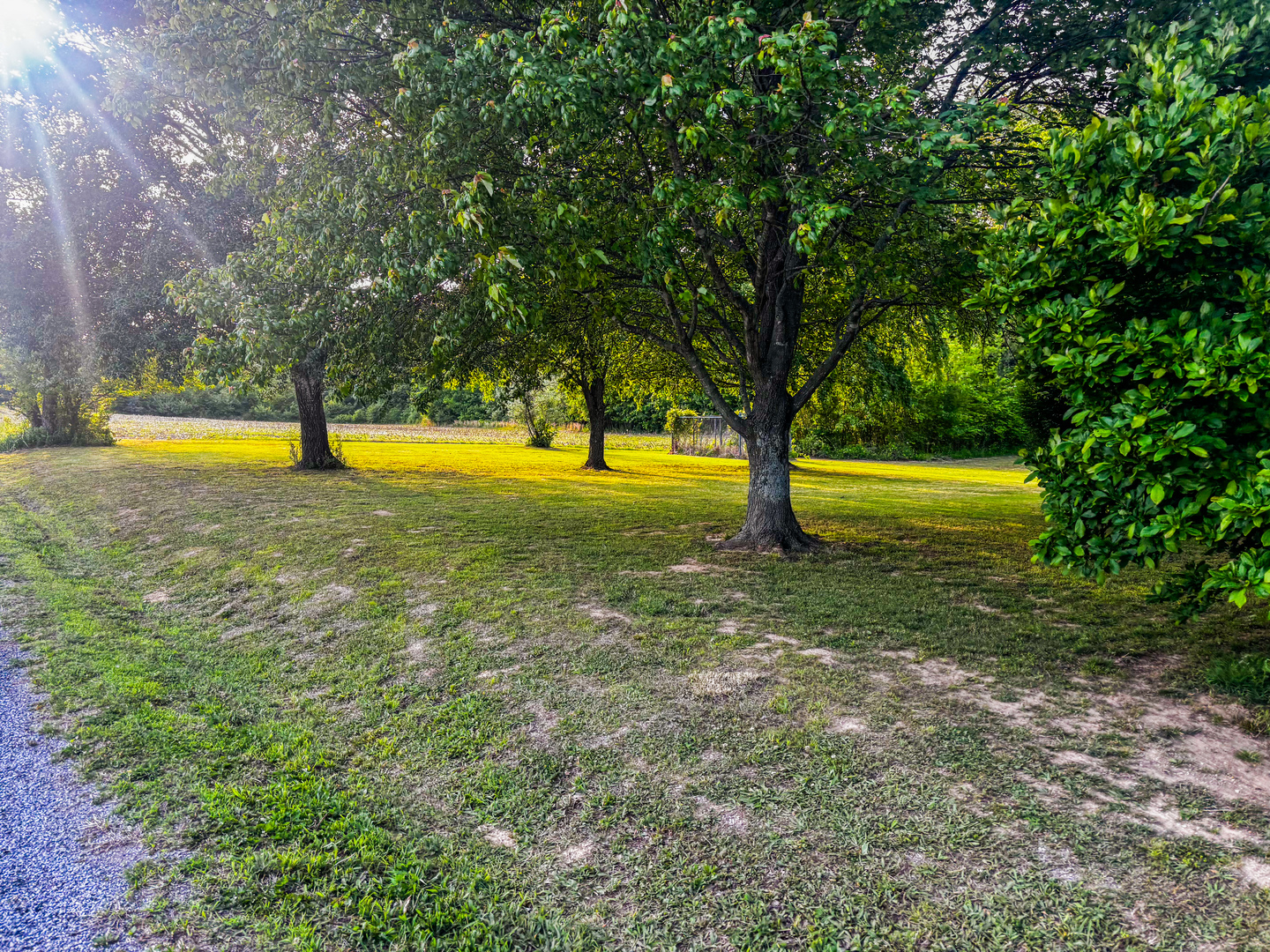4920 Mount Moriah Road