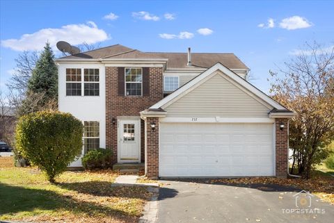 Photo of 737 Springwood Drive, Joliet, IL 60431 (MLS # 12513301)