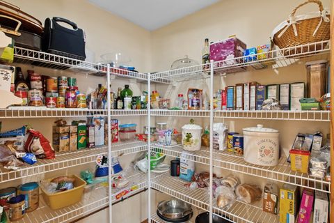 Tiny photo for 433 Running Deer Lane, Gilberts, IL 60136 (MLS # 12549803)