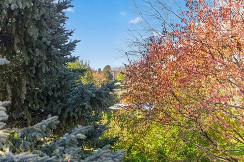 Tiny photo for 3 Rose Hill Court, Algonquin, IL 60102 (MLS # 12782338)
