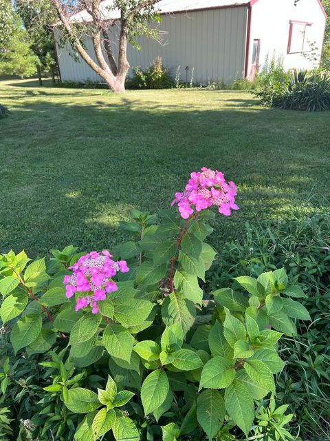 Tiny photo for 2761 County Road 1700 N, Ogden, IL 61859 (MLS # 12432651)