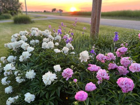 Tiny photo for 2761 County Road 1700 N, Ogden, IL 61859 (MLS # 12432651)