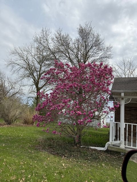 Tiny photo for 2761 County Road 1700 N, Ogden, IL 61859 (MLS # 12432651)